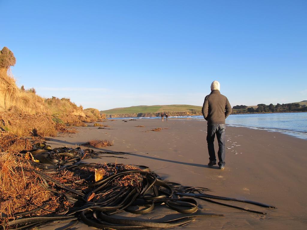Catlins Newhaven Holiday Park Owaka Chambre photo
