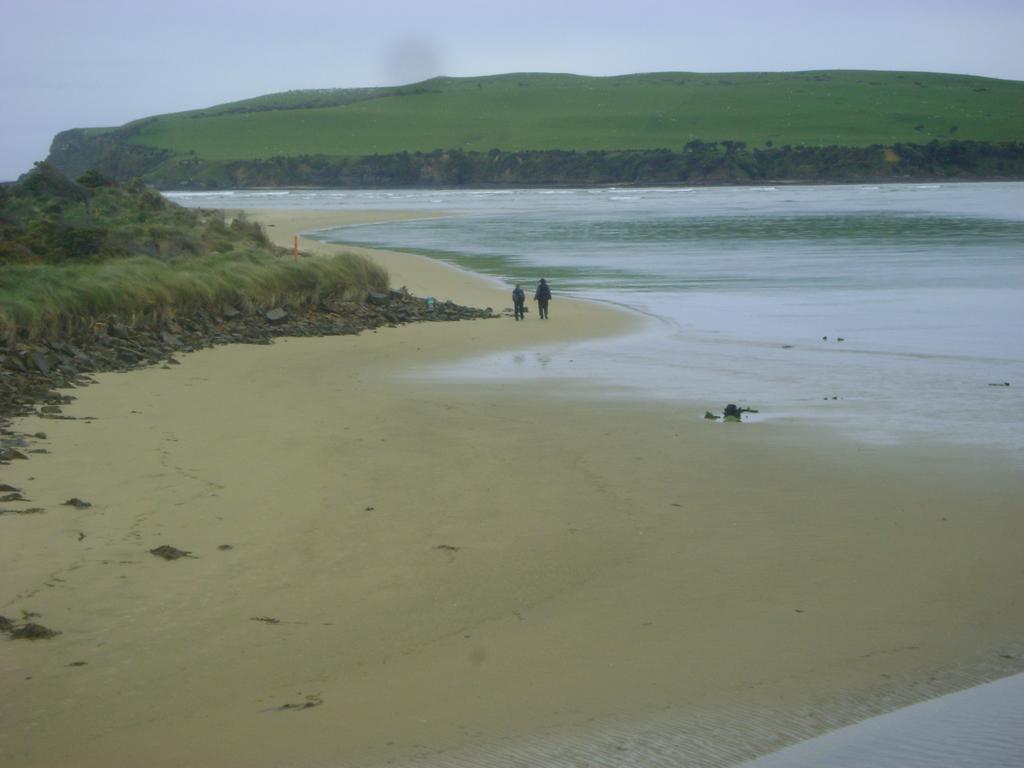 Hotel Catlins Newhaven Holiday Park à Owaka Extérieur photo