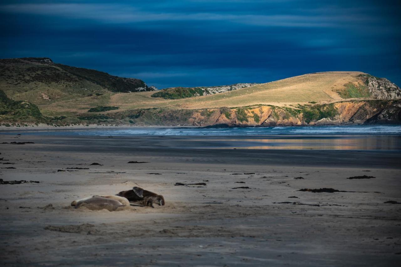 Catlins Newhaven Holiday Park Owaka Extérieur photo